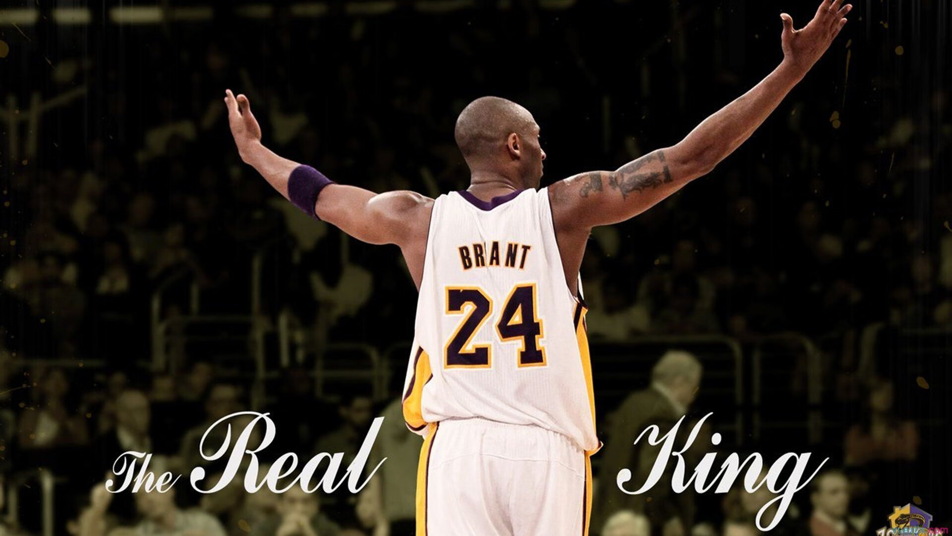 2024“中杉杯”第八届世界奥赛之夜中国区北京站健身健美大赛成功举办